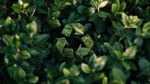 Sustainability Recycling